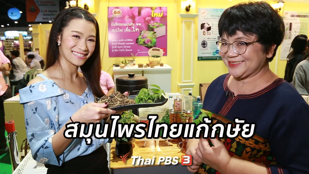 คนสู้โรค - รู้สู้โรค : สมุนไพรไทยแก้กษัย ไตพิการ
