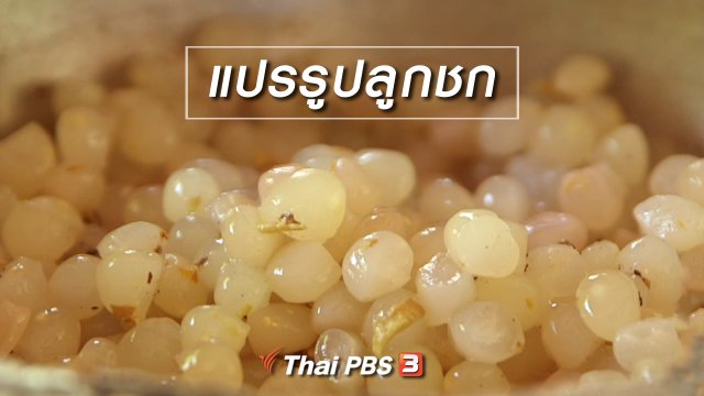 ​ตะลุยทั่วไทย : แปรรูปลูกชก