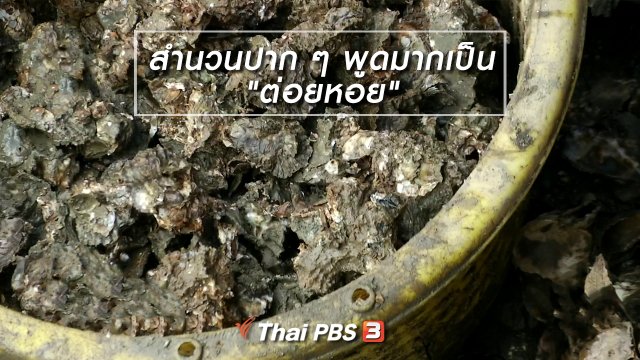 เพียงคำเดียว : สำนวนปาก ๆ พูดมากเป็น "ต่อยหอย"