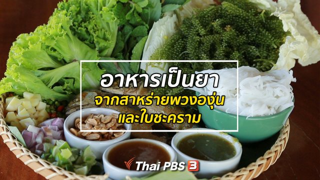 รู้สู้โรค : อาหารเป็นยาจากสาหร่ายพวงองุ่น และใบชะคราม
