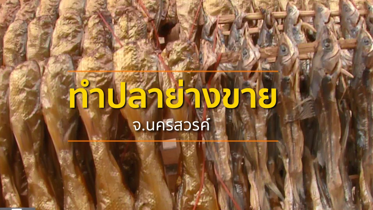 ทุกทิศทั่วไทย - ชุมชนทั่วไทย : ชาวท่าตะโกยึดอาชีพทำปลาย่างส่งขายเป็นรายได้เสริม
