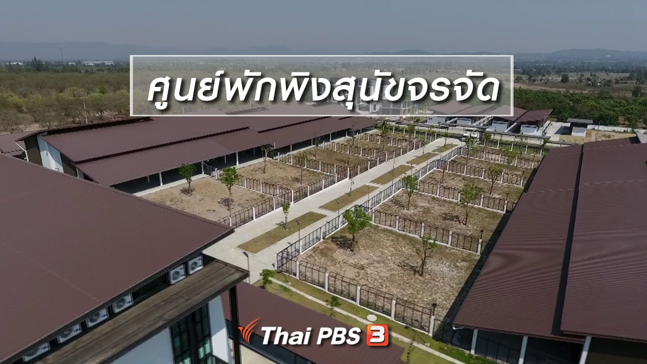จับตาสถานการณ์ - ตะลุยทั่วไทย : ศูนย์พักพิงสุนัขจรจัด