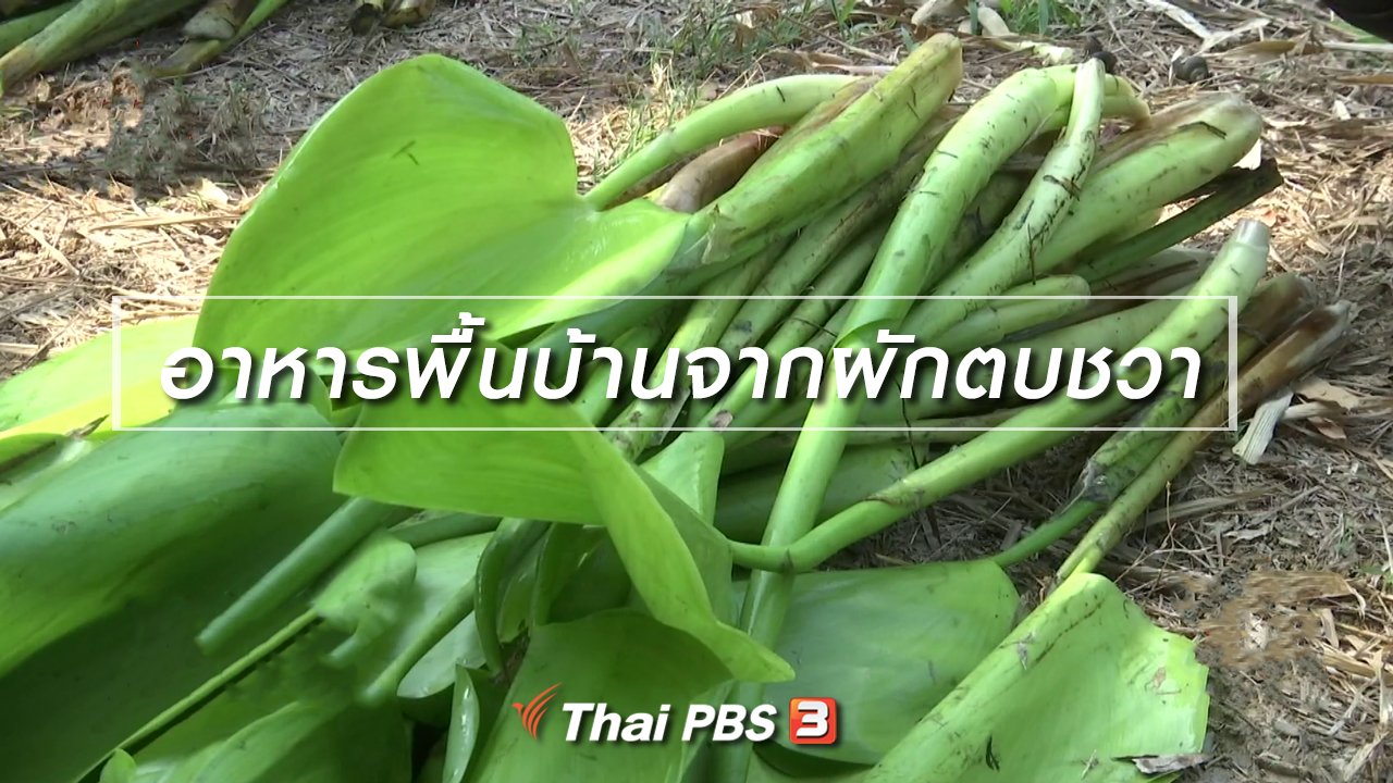 ไทยบันเทิง - อิ่มมนต์รส : อาหารพื้นบ้านจากผักตบชวา