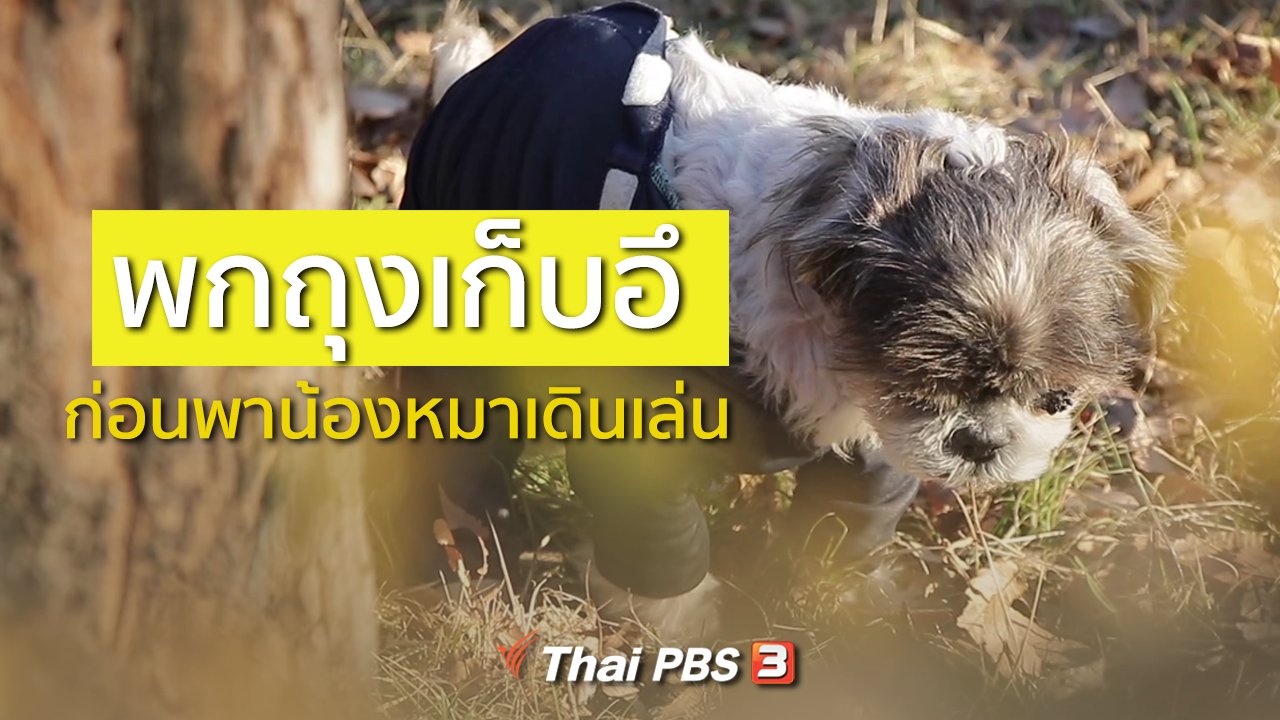 ดูให้รู้ - รู้ให้ลึกเรื่องญี่ปุ่น : พกถุงเก็บอึก่อนพาน้องหมาเดินเล่น