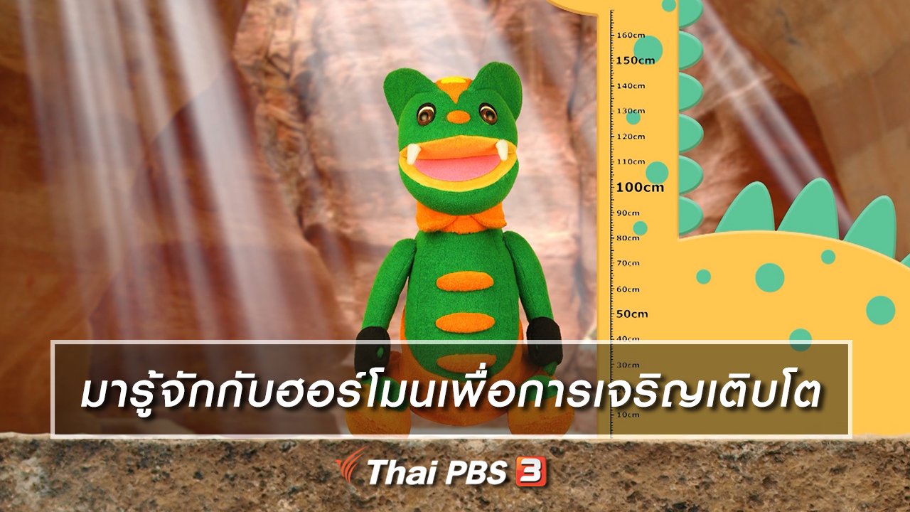 TataTitiToto ไดโนมหัศจรรย์ - เกร็ดน่ารู้กับตาต้าตีตี้โตโต้ : มารู้จักกับฮอร์โมนเพื่อการเจริญเติบโต