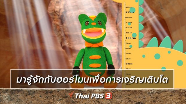 เกร็ดน่ารู้กับตาต้าตีตี้โตโต้ : มารู้จักกับฮอร์โมนเพื่อการเจริญเติบโต