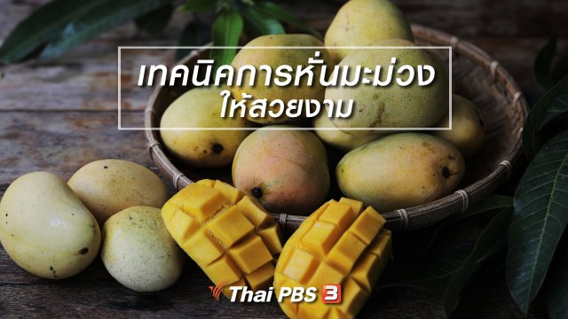 เมนูอาหารฟิวชัน : เทคนิคการหั่นมะม่วงให้สวยงาม