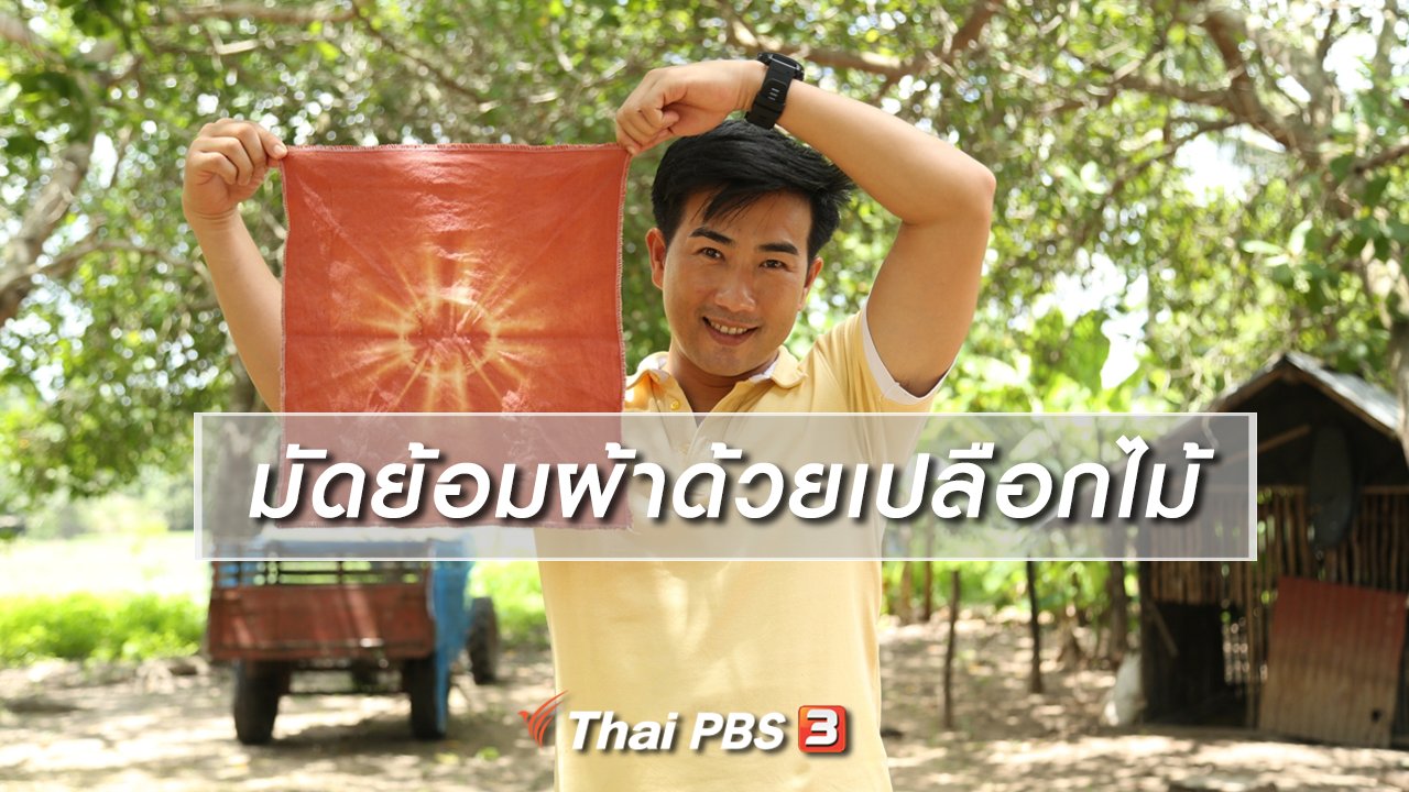 ทั่วถิ่นแดนไทย - เรียนรู้วิถีไทย : มัดย้อมผ้าด้วยเปลือกไม้