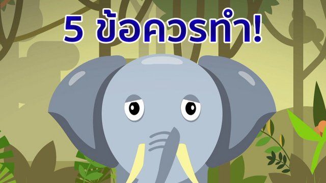5 ข้อควรทำ! เมื่อเจอช้างป่า