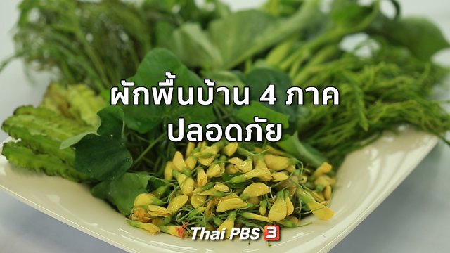 กินดี อยู่ดีกับหมอพรเทพ : ผักพื้นบ้าน 4 ภาค ปลอดภัย