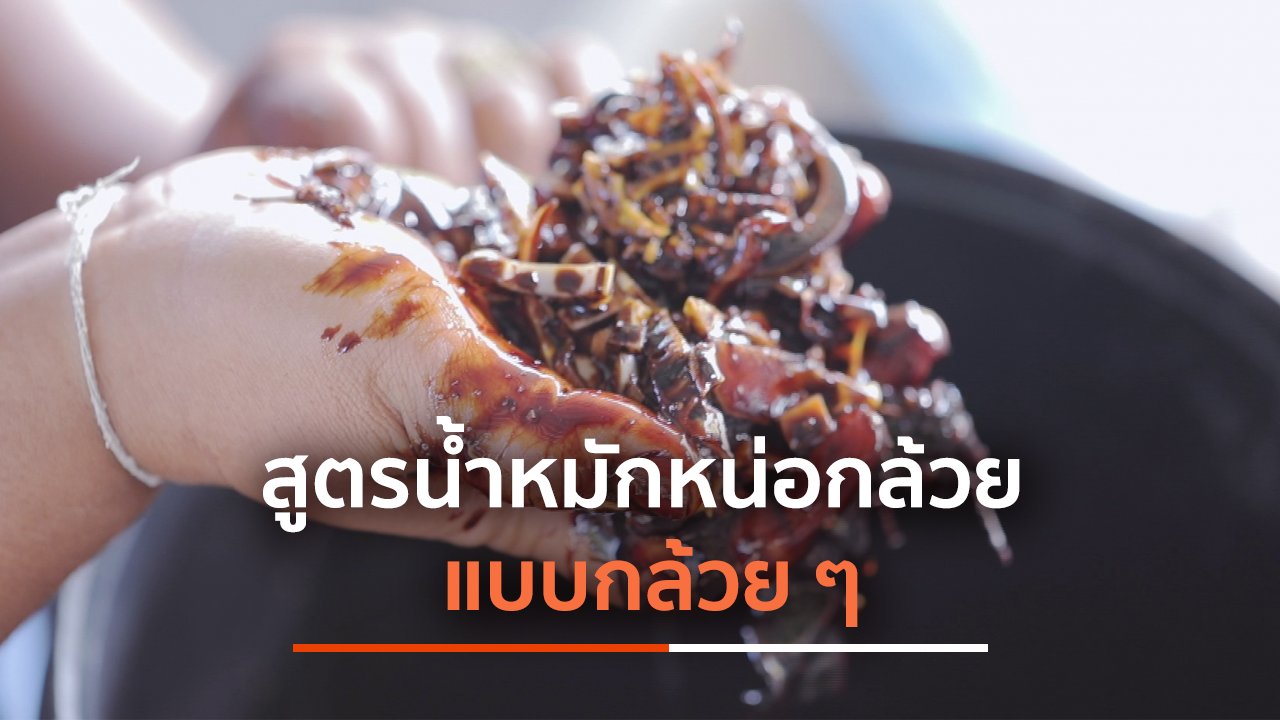 มหาอำนาจบ้านนา - สูตรน้ำหมักหน่อกล้วยแบบกล้วย ๆ