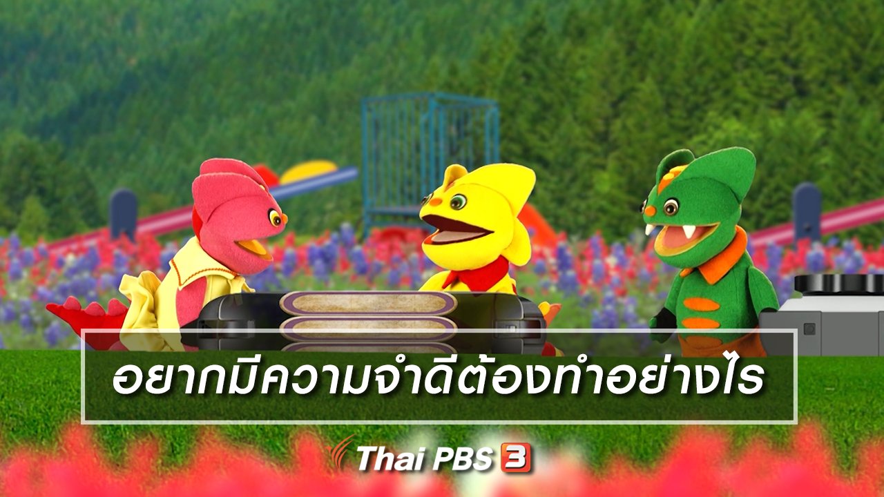 TataTitiToto ไดโนมหัศจรรย์ - เกร็ดน่ารู้กับตาต้าตีตี้โตโต้ : อยากมีความจำดีต้องทำอย่างไร