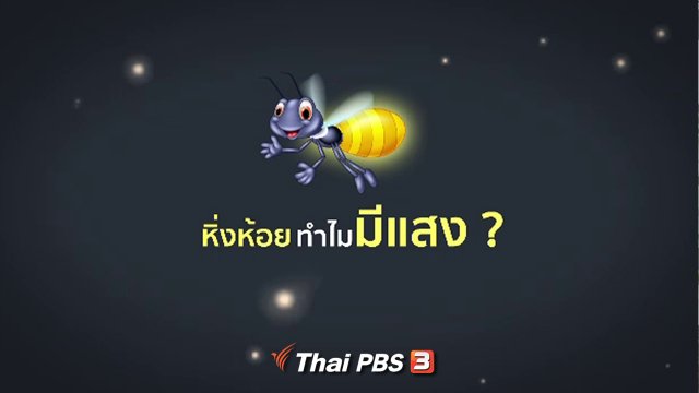 หิ่งห้อยทำไมมีแสง ?