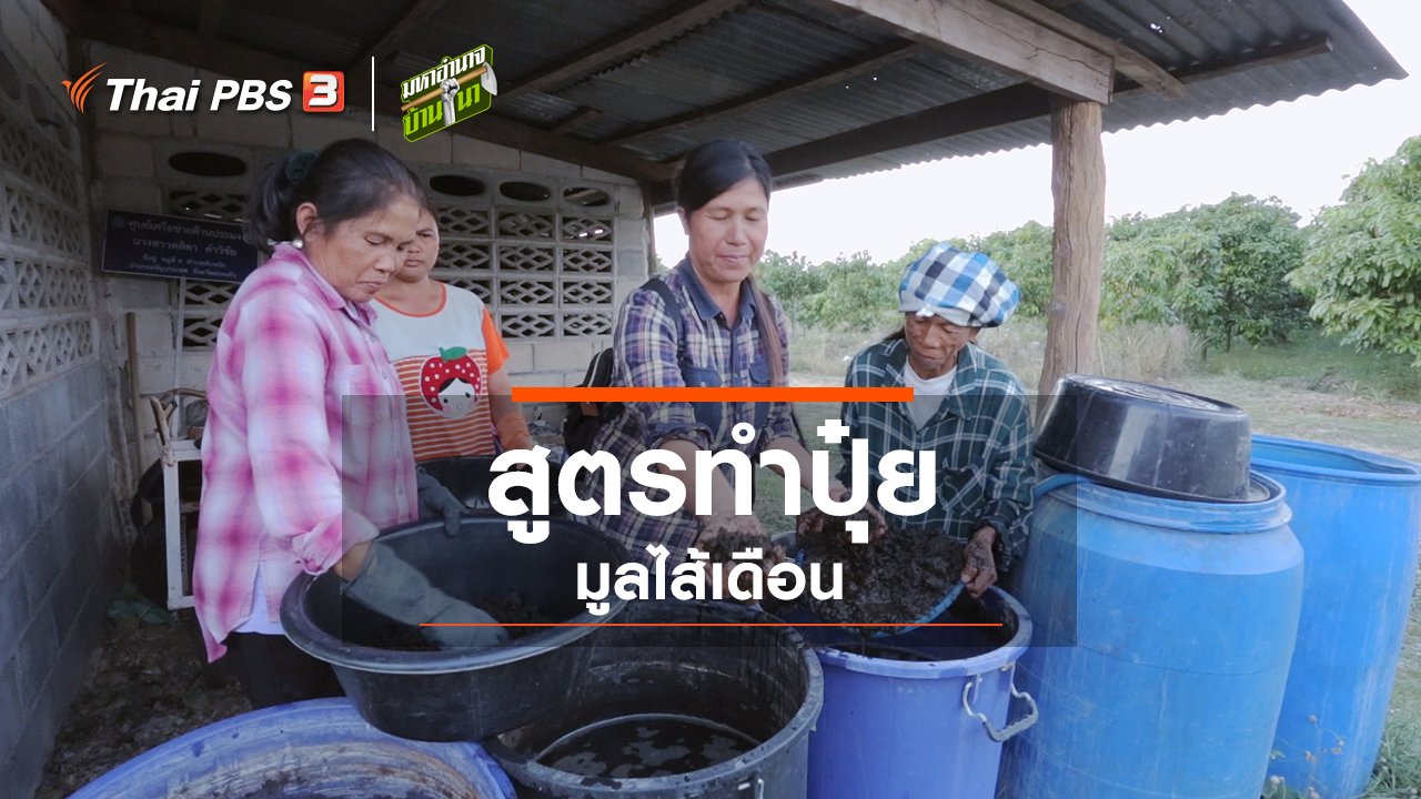 มหาอำนาจบ้านนา - สูตรลับฉบับบ้านนา : สูตรทำปุ๋ยมูลไส้เดือน
