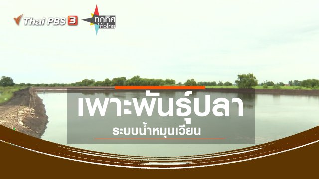 อาชีพทั่วไทย : เพาะพันธุ์ปลาระบบน้ำหมุนเวียน จ.นครนายก