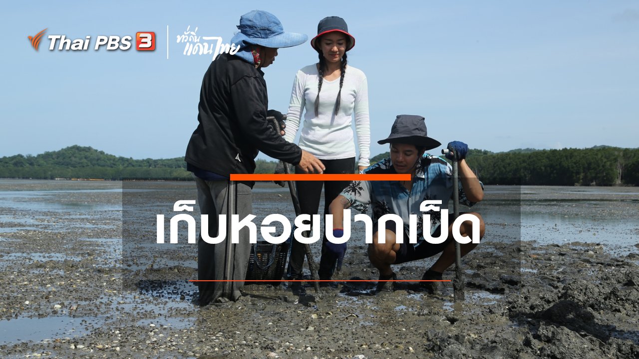 ทั่วถิ่นแดนไทย - เรียนรู้วิถีไทย : เก็บหอยปากเป็ด