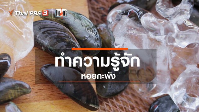 ทำความรู้จักหอยกะพัง