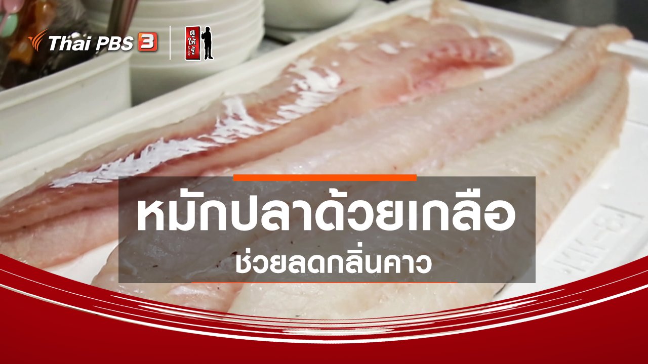 ดูให้รู้ Dohiru - รู้ให้ลึกเรื่องญี่ปุ่น : หมักปลาด้วยเกลือช่วยลดกลิ่นคาว