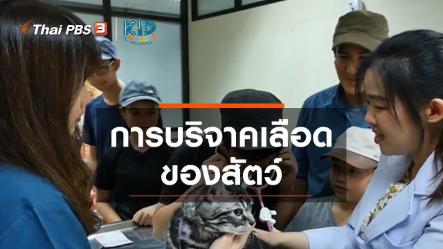 คิดส์เรียนรู้ : การบริจาคเลือดของสัตว์