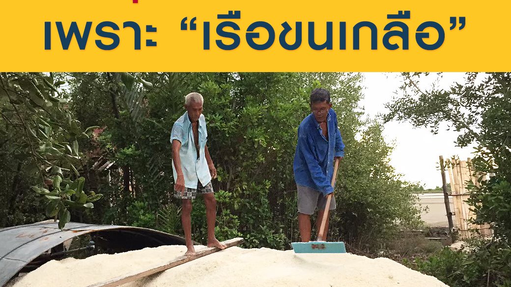 ซีรีส์วิถีคน - ทุกวันนี้มีกินมีใช้ เพราะเรือขนเกลือ
