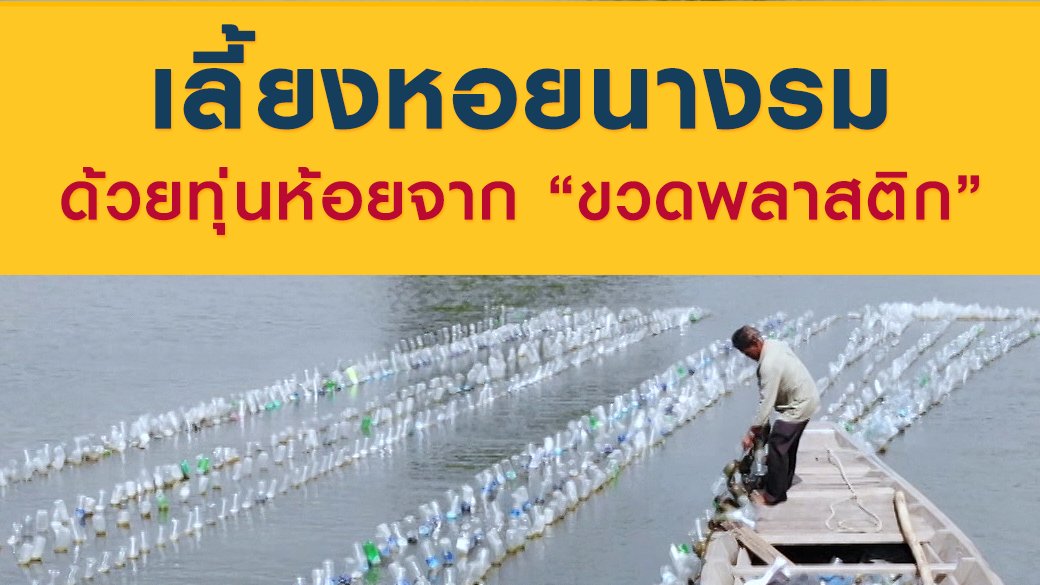 ซีรีส์วิถีคน - เลี้ยงหอยนางรม ด้วยทุ่นห้อยจาก "ขวดพลาสติก"