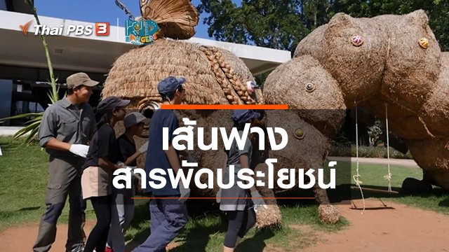 คิดส์เรียนรู้ : เส้นฟางสารพัดประโยชน์