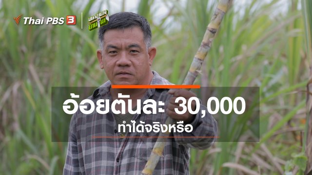 อ้อยตันละ 30,000 ทำได้จริงหรือ