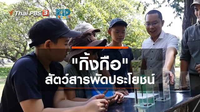คิดส์เรียนรู้ : "กิ้งกือ" สัตว์สารพัดประโยชน์