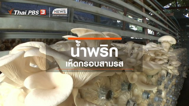 ตะลุยทั่วไทย : น้ำพริกเห็ดกรอบสามรส