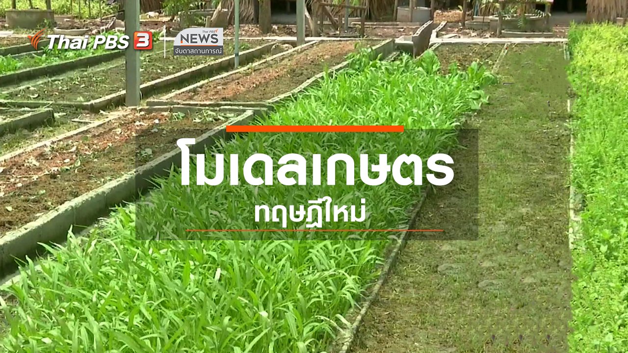 จับตาสถานการณ์ - ตะลุยทั่วไทย : โมเดลเกษตรทฤษฎีใหม่
