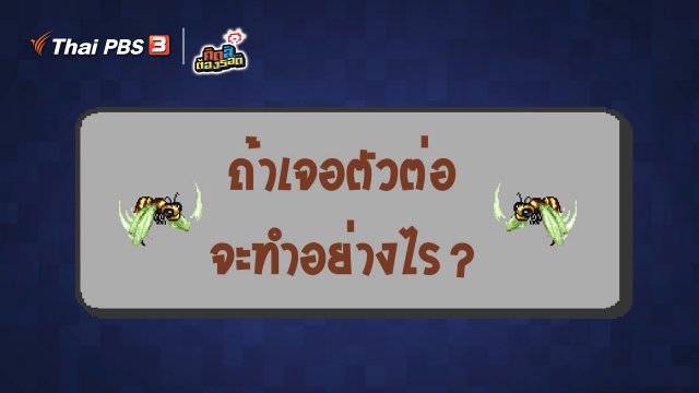 ​ถ้าเจอตัวต่อจะทำอย่างไร