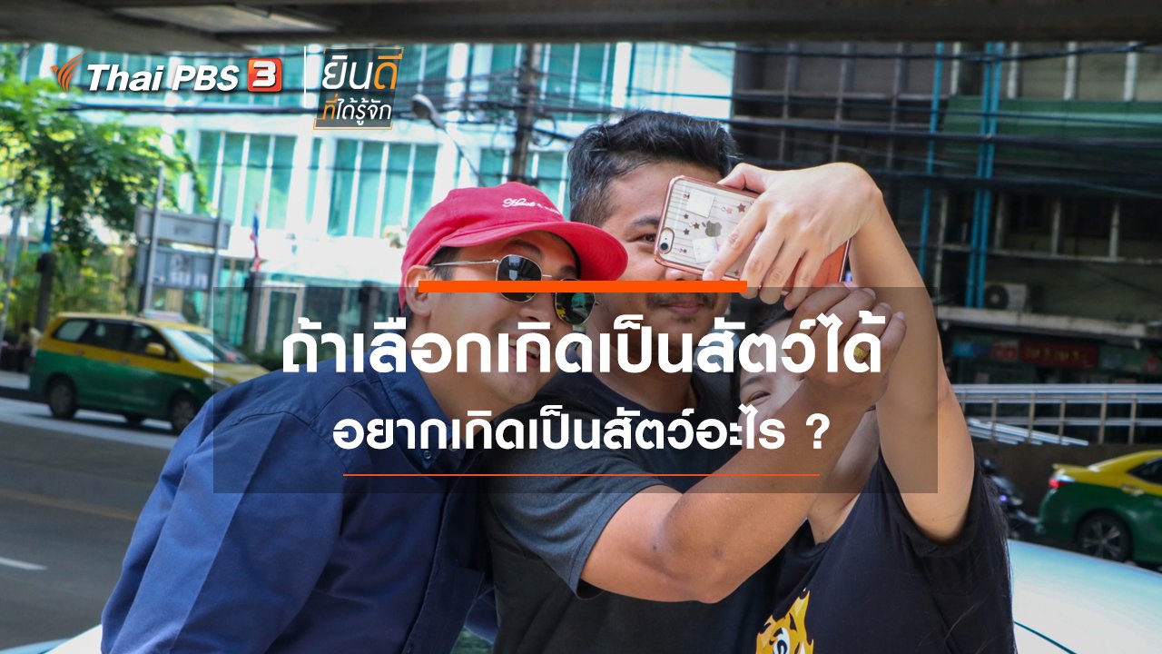 ยินดีที่ได้รู้จัก - ถ้าเลือกเกิดเป็นสัตว์ได้ อยากเกิดเป็นสัตว์อะไร ?