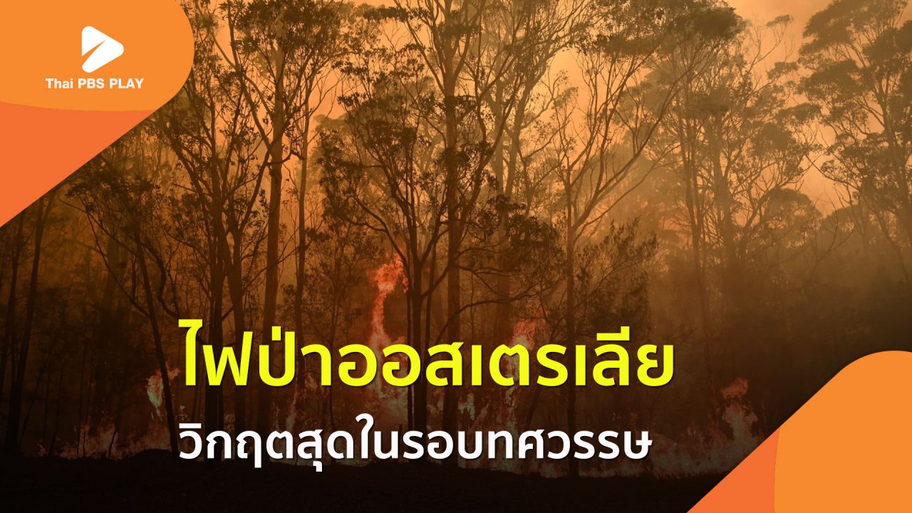 Thai PBS Play - ไฟป่าออสเตรเลีย วิกฤตสุดในรอบทศวรรษ