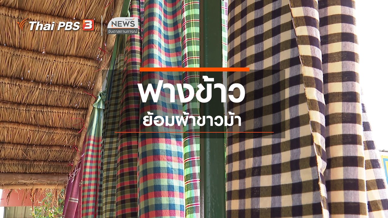 จับตาสถานการณ์ - ตะลุยทั่วไทย : ฟางข้าวย้อมผ้าขาวม้า