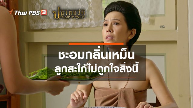 ชะอมกลิ่นเหม็น ลูกสะใภ้ไม่ถูกใจสิ่งนี้