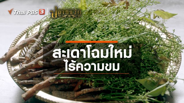 สะเดาโฉมใหม่ ไร้ความขม
