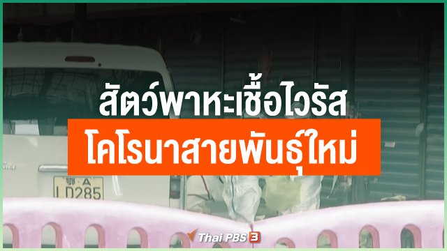 สัตว์พาหะเชื้อไวรัสโคโรนาสายพันธุ์ใหม่