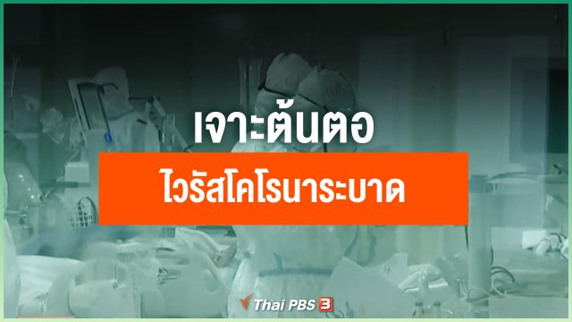 เจาะต้นตอไวรัสโคโรนาสายพันธุ์ใหม่ระบาด บทเรียนมนุษย์บริโภคสัตว์ป่า