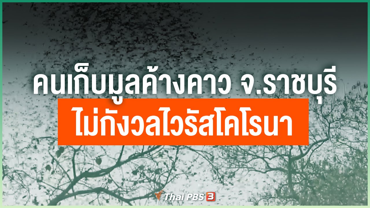 Coronavirus - คนเก็บมูลค้างคาว จ.ราชบุรี ไม่กังวลไวรัสโคโรนา