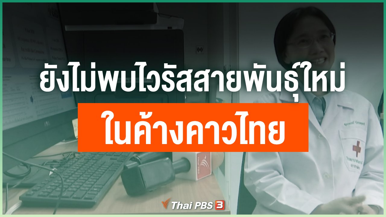 Coronavirus - ยังไม่พบไวรัสสายพันธุ์ใหม่ ในค้างคาวไทย