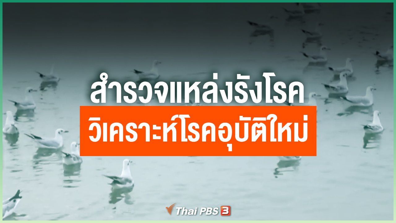 Coronavirus - สำรวจแหล่งรังโรค วิเคราะห์โรคอุบัติใหม่