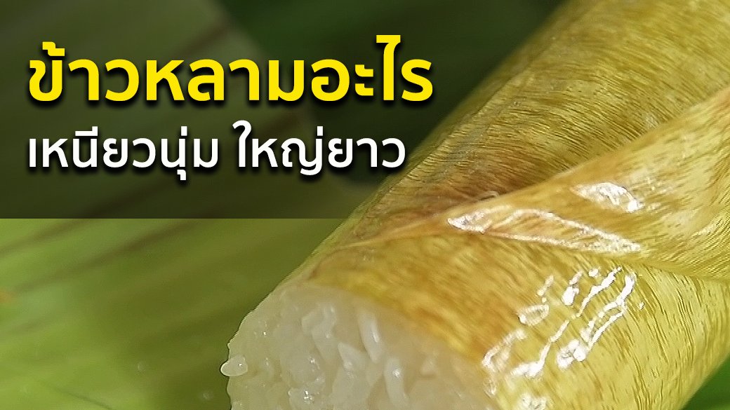 Spirit of Asia - ข้าวหลามอะไร เหนียวนุ่ม ใหญ่ยาว