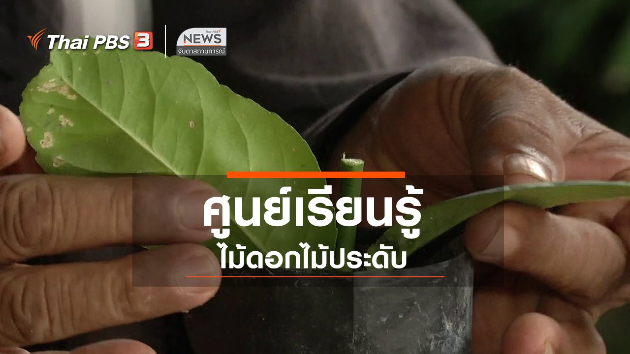 จับตาสถานการณ์ - ตะลุยทั่วไทย : ศูนย์เรียนรู้ไม้ดอกไม้ประดับ