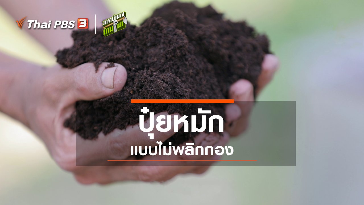 มหาอำนาจบ้านนา - สูตรลับฉบับบ้านนา : ปุ๋ยหมักแบบไม่พลิกกอง