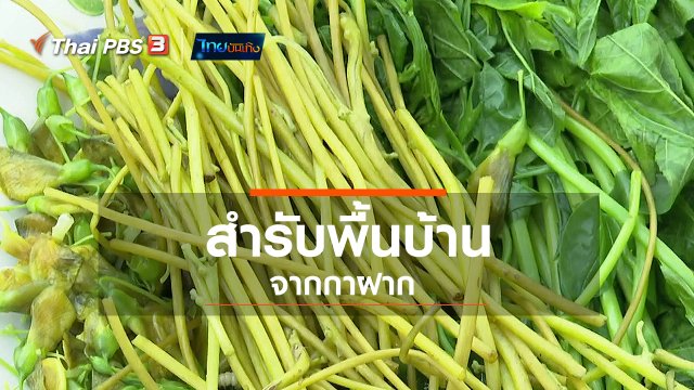 อิ่มมนต์รส : สำรับพื้นบ้านจากกาฝาก