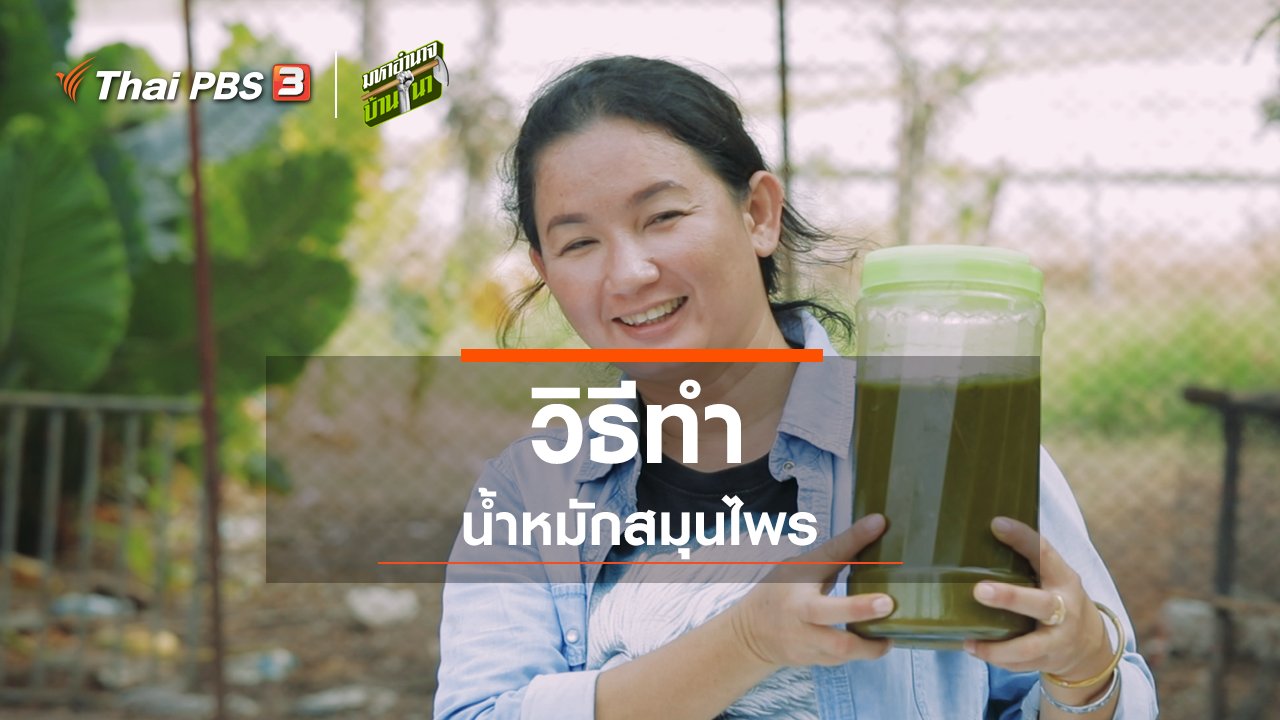 มหาอำนาจบ้านนา - สูตรลับฉบับบ้านนา : วิธีทำน้ำหมักสมุนไพร