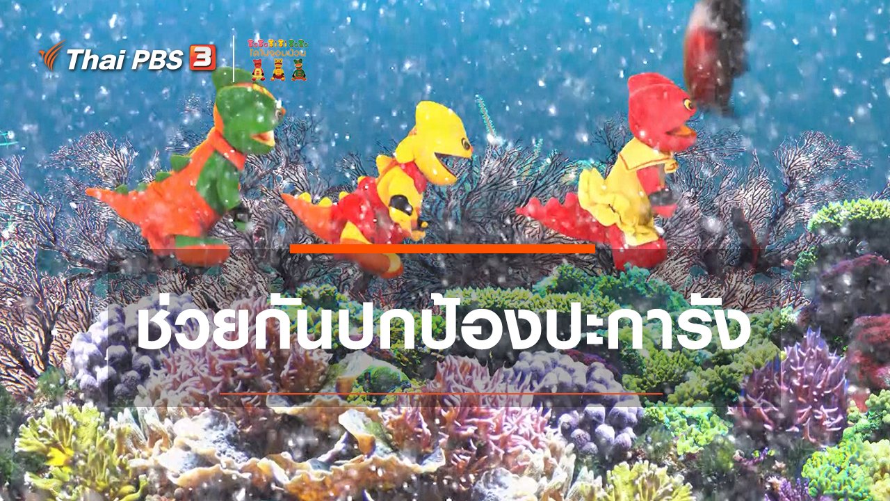TataTitiToto ไดโนมหัศจรรย์ - เกร็ดน่ารู้กับตาต้าตีตี้โตโต้ : เราต้องช่วยกันปกป้องปะการัง
