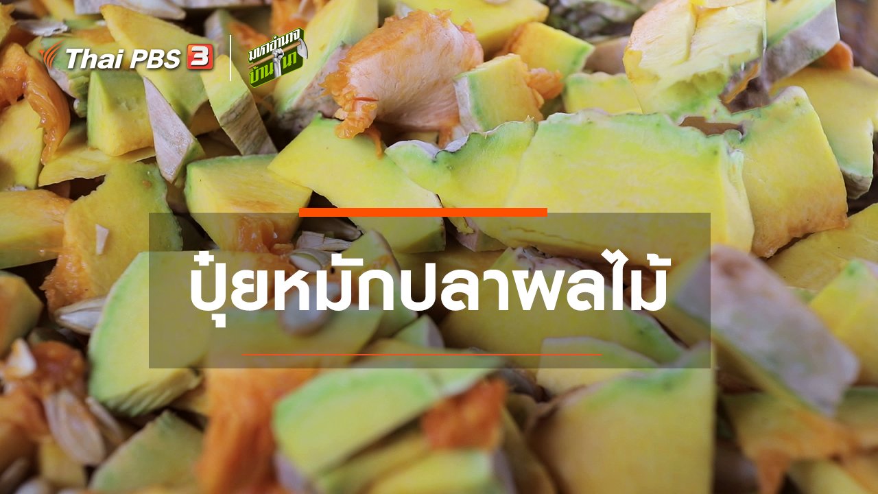 มหาอำนาจบ้านนา - สูตรลับฉบับบ้านนา : ปุ๋ยหมักปลาผลไม้