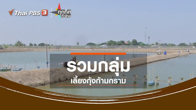 ชุมชนทั่วไทย : รวมกลุ่มเลี้ยงกุ้งก้ามกรามแก้ปัญหาด้านการตลาด