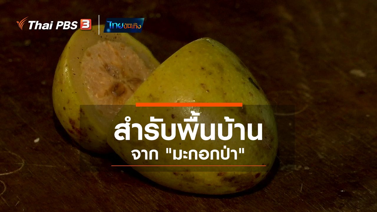 ไทยบันเทิง - อิ่มมนต์รส : สำรับพื้นบ้านจาก "มะกอกป่า"
